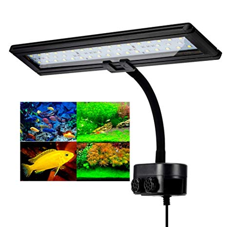 Hygger Aquarium Fish Tank Light, White and Blue LEDs, Clip on Led Clamp Light for Aquarium Lighting, with Adjustable Clip Fits on Rimless or Black Rim Tank