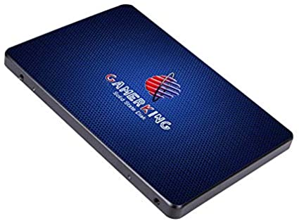 Gamerking SSD 1TB SATAIII 2.5 inch 6Gb/s 7MM Internal Solid State Drive for PC Laptop Desktop Hard Drive SSD (1TB, 2.5-SATA Ⅲ)