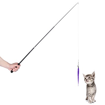 Aigou Cat Wand with Teaser Toys, Long Dangler Stick Fishing Rod with 5 Pieces Fun Teaser and bell Refill Pack for Cat and Kitten