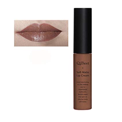 Fullkang Waterproof Matte Liquid Long Lasting Lip Gloss Lipstick 34 Colors (Brown 10)