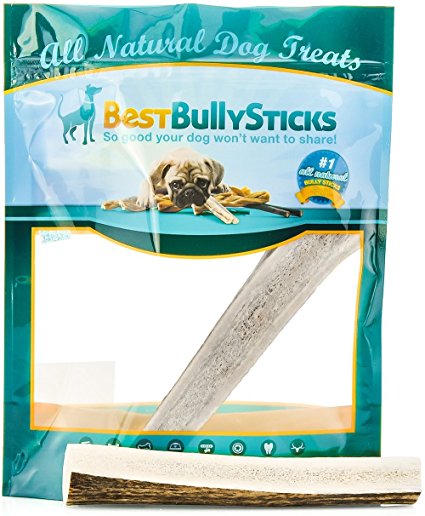 Grade-A Elk and Deer Antler Dog Chews by Best Bully Sticks (1 Pack) Sourced in the USA