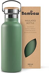 Bambaw Insulated Water Bottle 16 oz, Green Water Bottle with Handle, Stainless Steel Water Bottle, Travel Water Bottle Insulated, Metal Water Bottle without Straw, Thermo Water Bottle – Sage Green