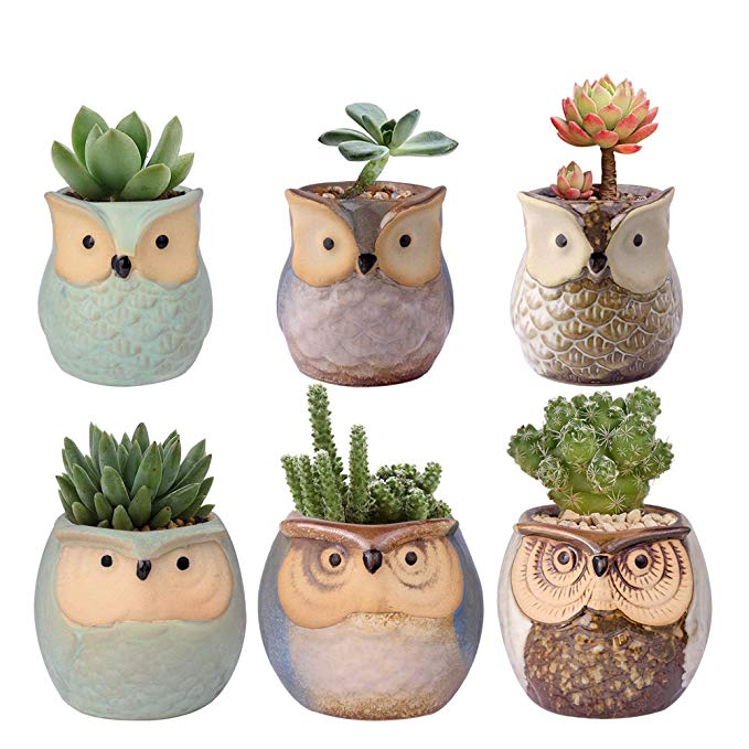 WITUSE Mini Owl Pot Ceramic Cactus Planter Pot Succulent Plant Pot for Indoor Outdoor Plants -6 Pots
