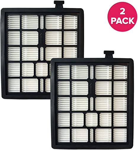 Crucial Vacuum Replacement Vacuum Filter - Compatible with Dirt Devil Part # F45 - Fits Models Pets Canister SD40000, EZ Lite Canister SD40010, Parts 2KQ0107000 2-KQ0107-000 F-45 - Bulk (2 Pack)