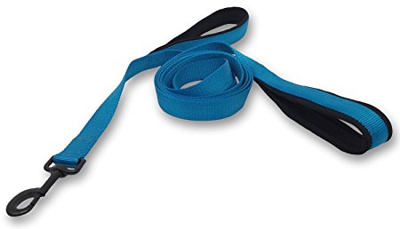 Soft and Thick Double Handle Premium Nylon 4FT Leash - Dual Soft Padded Handles for Ultimate Control - 48 Inch x 3/4 Inch for Small to Large Dogs in 4 Vibrant Colors - "EZ Walker "