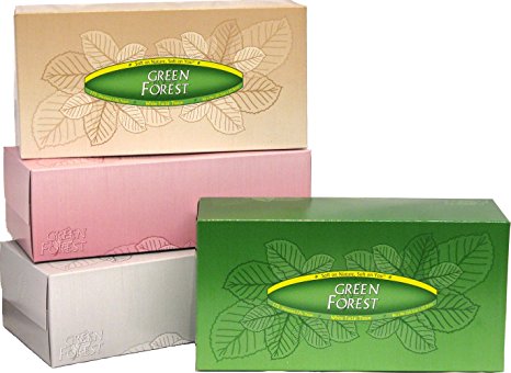 Green Forest Facial Tissue, White, Assorted Prints, Case Pack, Twenty-Four 175-Count Packs (4200 Tissues)