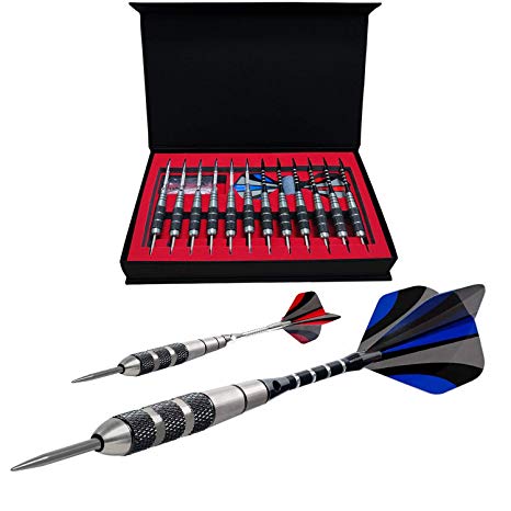 ICEIVY 12 Packs Steel Tip Darts Set 22 Grams with Non-slip Aluminum Alloy Shaft & Diffferent Style Flights, and Darts Sharpener with an Gift Box