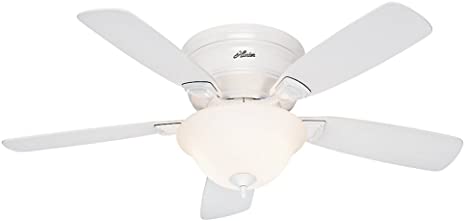 Hunter Fan Company Hunter 52062 Low Profile Plus Ceiling Fan with Five Oak Blades and Cased Glass Light Kit, 48-Inch, White