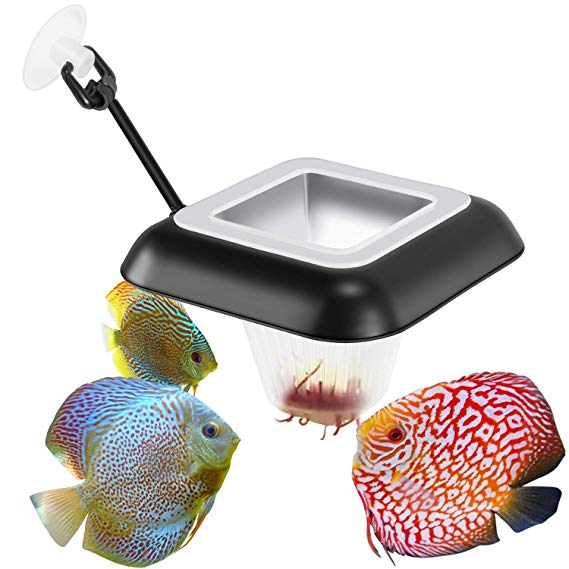 Fischuel Aquarium Feeding Ring Floating Rings Food Feeder Square with Suction Cup for Fish Feeder with Blood Worms Meal Worms