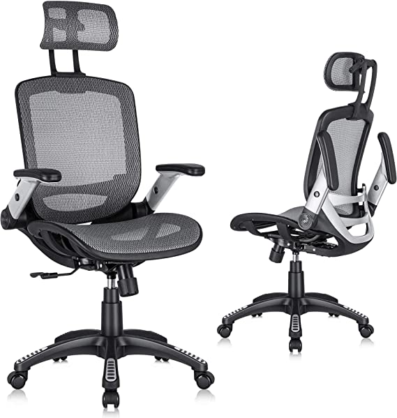 Gabrylly Ergonomic Mesh Office Chair, High Back Desk Chair - Adjustable Headrest with Flip-Up Arms, Tilt Function, Lumbar Support and PU Wheels, Swivel Computer Task Chair, Grey