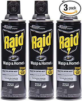Raid Wasp and Hornet Killer Spray, Kills the entire nest, Kills Paper Wasps, Yellow Jackets, Mud Daubers and more, 14 Oz, 3 Count