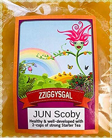 zziggysgal JUN SCOBY - Healthy and Well-Developed with 2-Cups of Strong Starter Tea - Ships Fast!