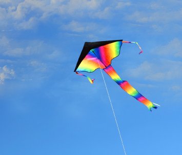 Rainbow Delta Kite, 74" Head to Tail, Impeccable Quality