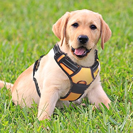 Rabbitgoo Front Range Dog Harness No-Pull Pet Harness Adjustable Outdoor Pet Vest 3M Reflective Oxford Material Vest for Dogs Easy Control for Small Medium Large Dogs
