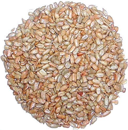 Good Sense | Sunflower Nuts | Roasted and Salted Sunflower Seeds (Shelled) - Value Size - 18 Pound (18 LB) Bag