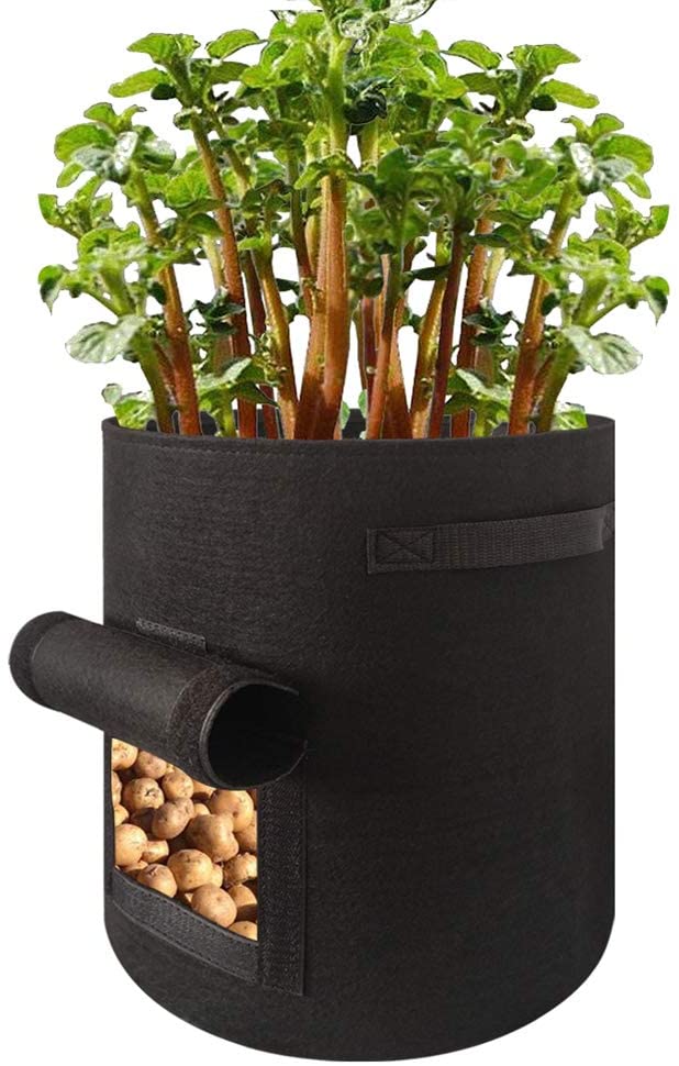 ZFRANC 3 Pcs Potato Grow Bags 10 Gallon with Window and Handles Breathable Non-Woven Heavy Duty Tomato Veggies Flower Plant Pouch for Vegetable Hanging Planter Tomato