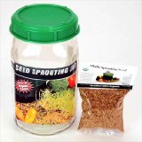 One Quart Glass Sprouter Jar w Sprouting Strainer Lid Grow Sprouts Includes 2 Oz Organic Alfalfa Sprout Seeds and Sprouting Instructions