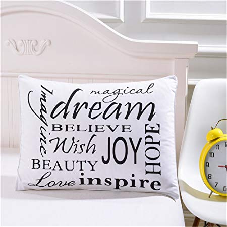 Sleepwish Inspire Wall Pillowcase, Magical Dream Believe Wish Joy Beauty Love Rectangle Pillow Case, Durable Unique Design Pillow Cover Standardard/Queen (20" X 30")