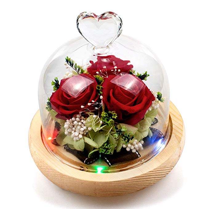 StillCool Enchanted Rose,Beauty and The Beast Rose Real Rose in Glass Dome,Multiple Lighting Modes,Multi Use for Home/Office or Home Decorations, Anniversary, Valentine's Day (Enchanted Rose)