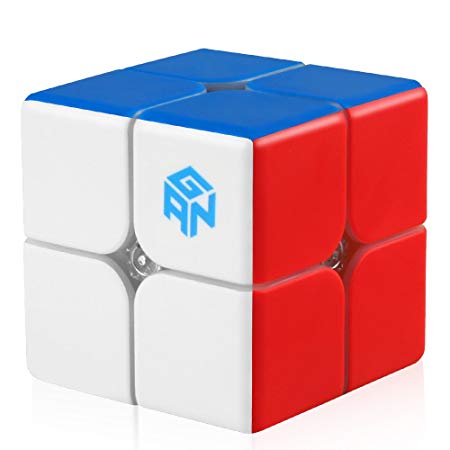 D-FantiX Gan 249 V2 2x2 Speed Cube Stickerless Gan 2x2 Magic Cube Puzzle Toy (49mm)