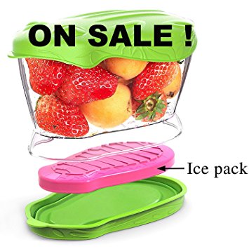 SELEWARE Tritan Plastic Fruit Container,Fruit Cooler with Ice Pack,Great for Fruit Salad Vegetable and Food Kepper,BPA-Free,30oz Apple Green