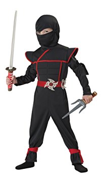 California Costumes Stealth Ninja Toddler Costume, 4-6