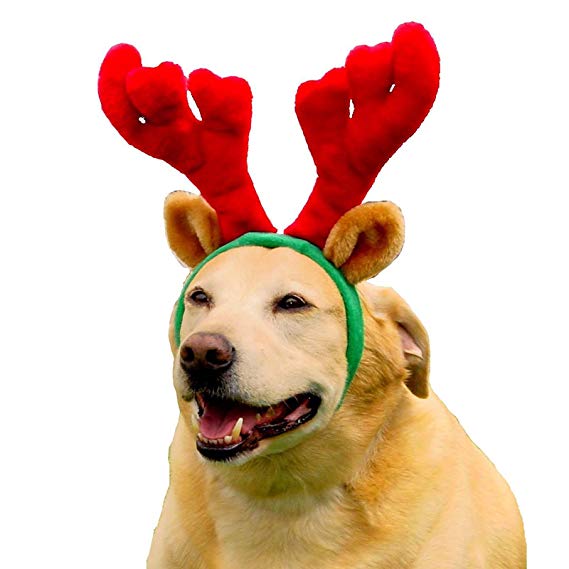 Outward Hound Holiday Christmas Antlers Wearable Dog Accessories, Brown