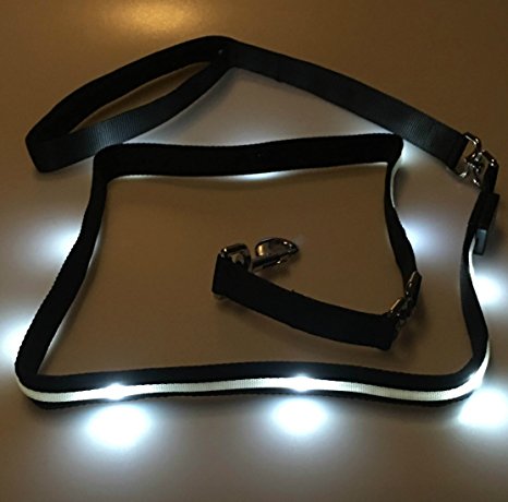 Blazin' Safety LED Dog Leash - USB Rechargeable Flashing Light, 4Ft & 6 Ft, Water Resistant – Avoid Danger