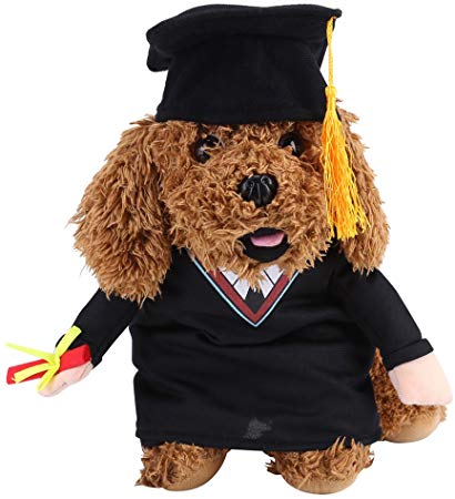 Funny Bachelor Dog Cat Pet Clothes Arms GOG Cat Costumes with Hat for Daily Halloween Christmas Party (L)