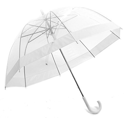 Pier 17 Clear Bubble Umbrella with Birdcage Structure and Vinyl Trim.