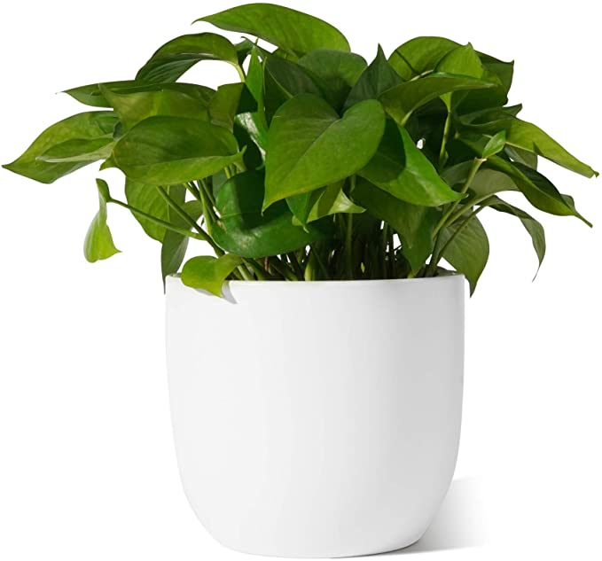 Ceramic Plant Pot - POTEY 7 Inch Modern Round Decorative Indoor Planter with Drainage Hole and Plug for All House Plants - 809, White