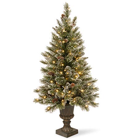 National Tree 4 Foot Glittery Bristle Pine Entrance Tree with White Tipped Cones, Glitter and 100 Clear Lights in Decorative Urn (GB3-306-40)