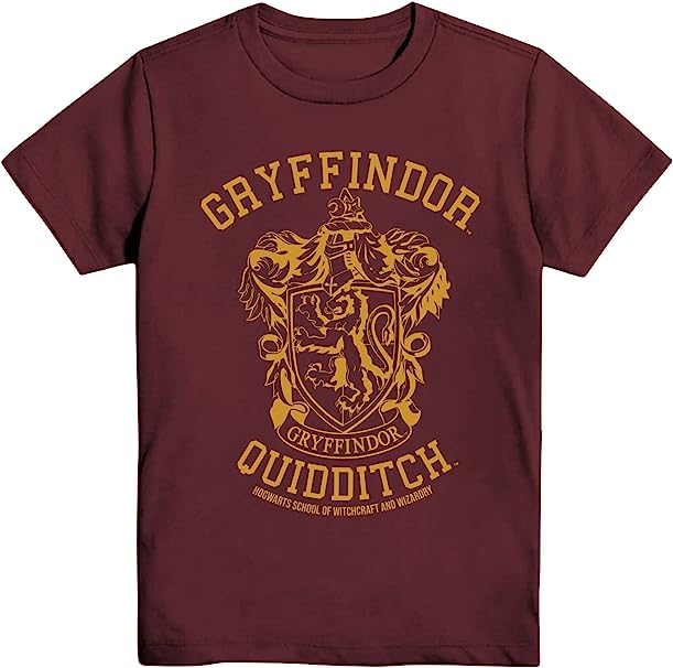 Harry Potter Gryffindor Slytherin Ravenclaw Hufflepuff Quidditch Team Adult T-Shirt