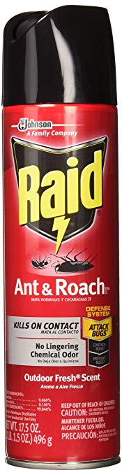 Raid 602310870481 Spray, 3 Pack