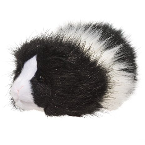 Douglas Toys Angora Guinea Pig