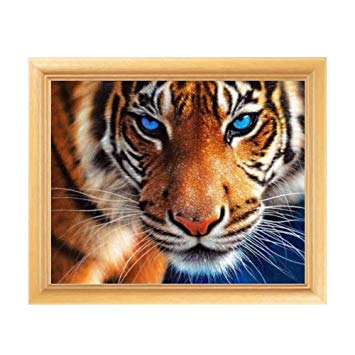 Adarl 5D DIY Diamond Painting Rhinestone Pictures of Crystals Embroidery Kits Arts, Crafts & Sewing Cross Stitch Tiger