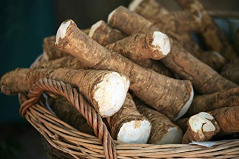 Horseradish Root, Sauget, 8 ounces (Sold by Weight). Great for Planting, Seasoning or Sauces. A taste delight.