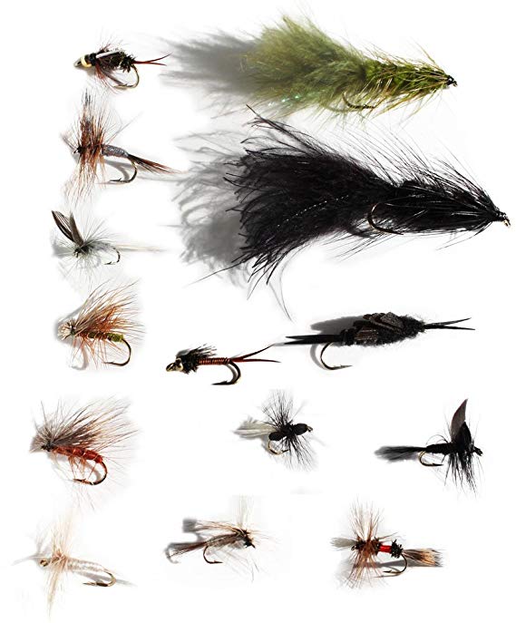 Flies Direct Trout Fishing Fly Assortment (2-Dozen)