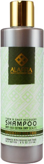 Alaffia Neem & Shea Butter Scalp Recovery Shampoo - Savanna Morning - 8 oz