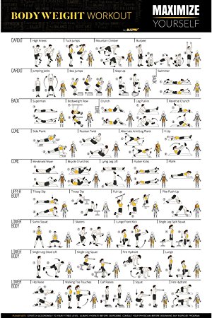 Exercise Fitness Poster, Full Body Workout, A Personal Trainer Guide Chart ,20X30, Bonus 2 Inspirational Gym Posters- By Bltzpro