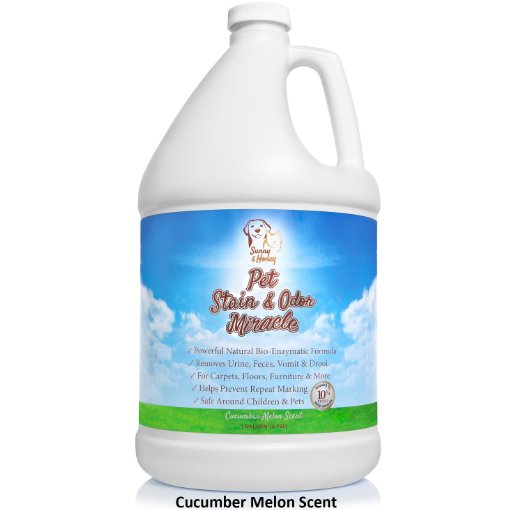 Pet Stain & Odor Miracle - Enzyme Cleaner for Dog and Cat Urine, Feces, Vomit and Drool (Cucumber Melon Scent 1 Gallon)