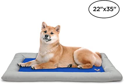 Arf Pets Dog Self Cooling Bed Pet Bed – Solid Gel Based Self Cooling Mat for Pets, Includes a Foam Based Bolster Bed for Extra Comfort