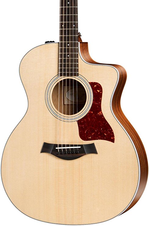 Taylor 214ce 200 Series Acoustic Guitar, Rosewood, Grand Auditorium, Cutaway, ES-T