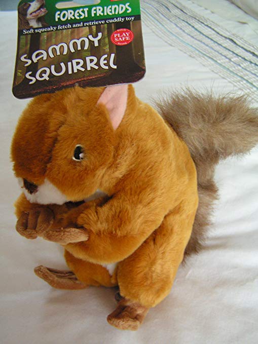 Sammy Squirrel Squeaky Dog Toy (Size: Large)