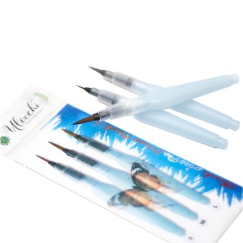 Water Brush, Set of 3 Assorted Tips, All-In-One Brush: Watercolor Brush, Pen Brush, Manga Pen and Calligraphy Pen. Ideal for Watercolor Painting.