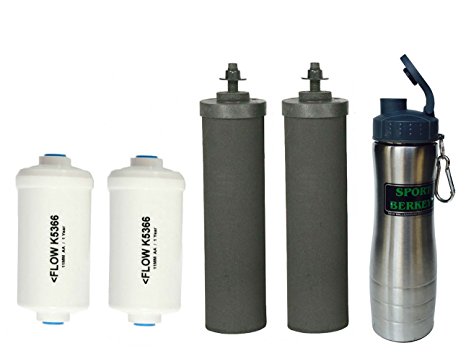 Premium Black Berkey Replacement Filters & Fluoride Filters Combo Pack - Includes 2 Black BB9 Filters, 2 PF2 Fluoride Filters Bundled with Silver Berkey Stainless Steel Waterbottle