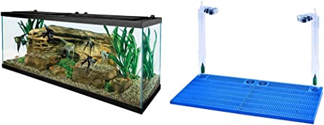 Tetra 55 Gallon Aquarium Kit with Fish Tank, Fish Net