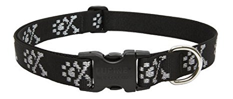 LupinePet Originals 1" Bling Bonz Adjustable Collar for Dogs