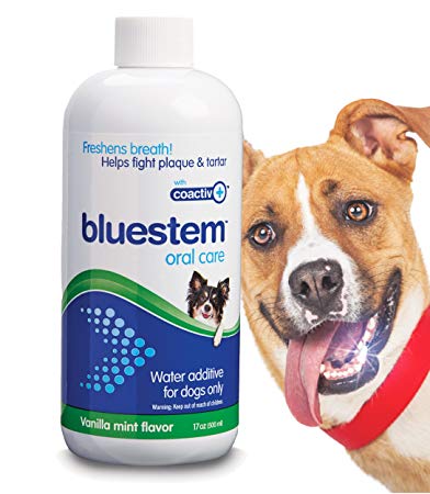 Pet Water Additive Oral Care: For Dogs Only Bad Breath, Dental Rinse Freshener Treats Plaque & Teeth Tartar Remover. Dog Mouth Hygiene Clean Health Treatment for Pets Drinking Bowl (Mint)