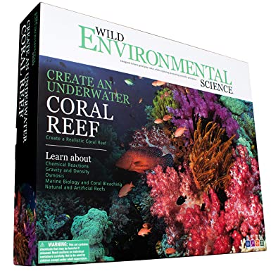 Wild Environmental Science - Create an Underwater Coral Reef - Science Kit for Ages 8  - Grow Instant Coral, Chemical Seagrass and More